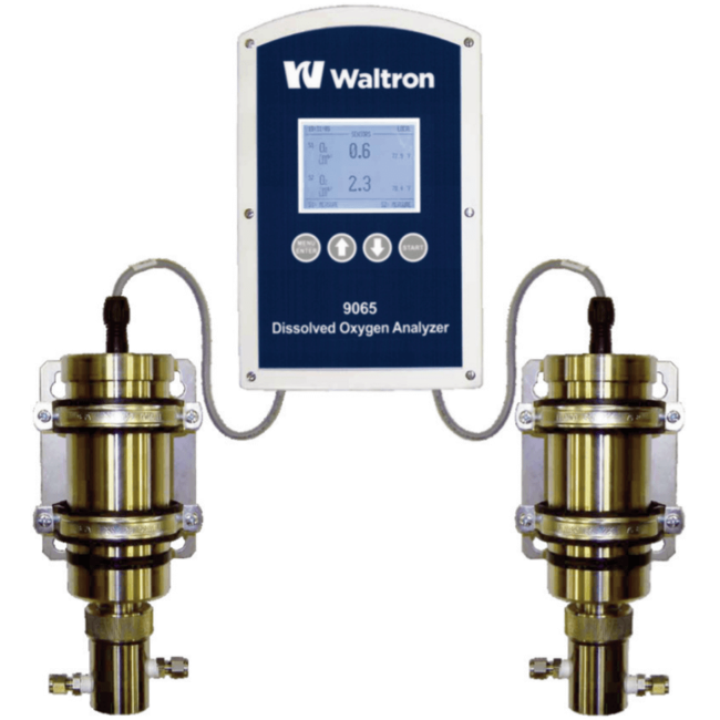 Waltron Dissolved Oxygen Analyzer, 9065